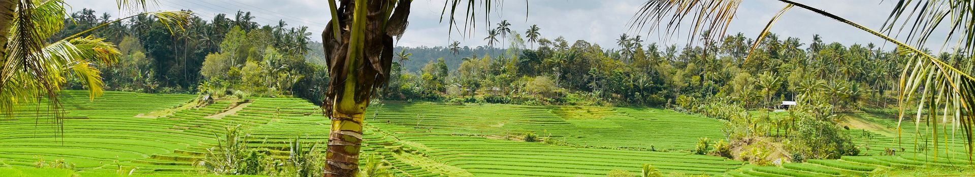 Voyage A Belimbing