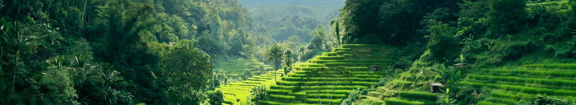 Voyage A Tabanan