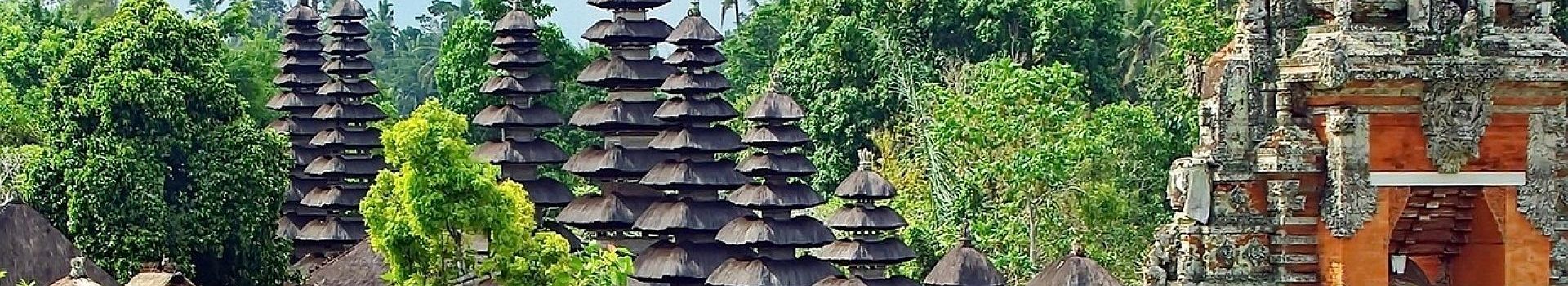 Voyage A Mengwi