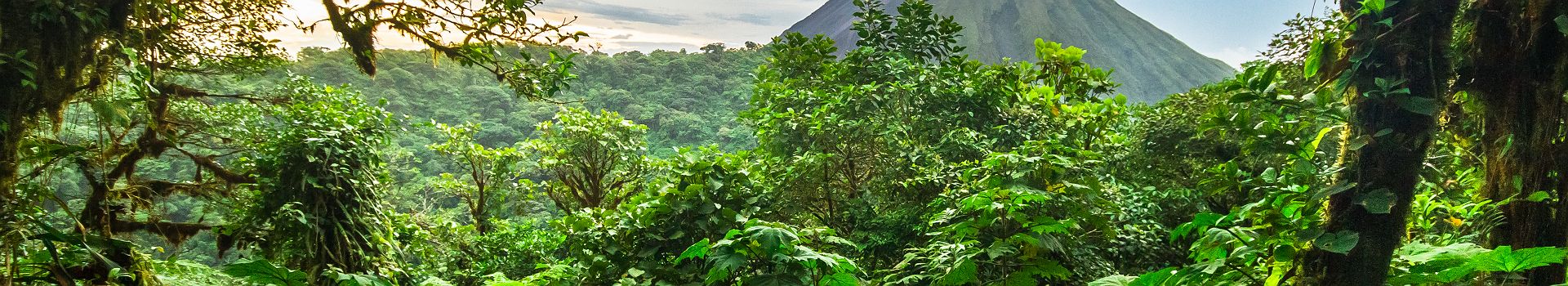 Voyage Au Nord du Costa Rica