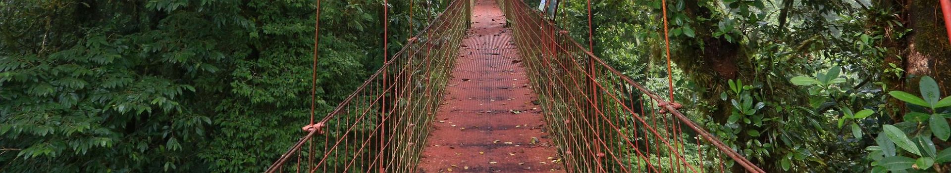 Voyage A Monteverde