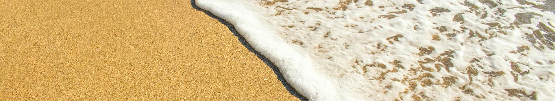 Voyage A Dominical