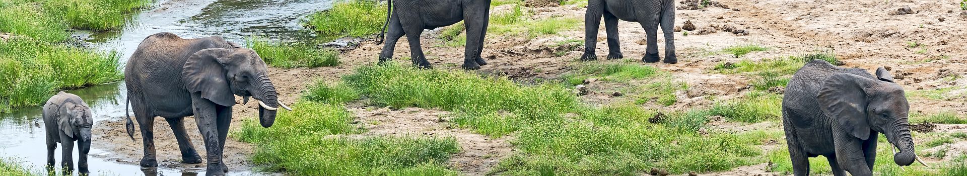 Voyage entre Arusha et le Nord de la Tanzanie