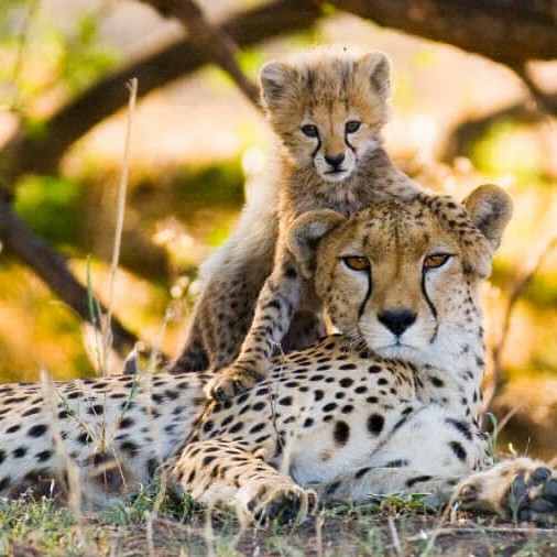 5 destinations vacances pour les parents solo