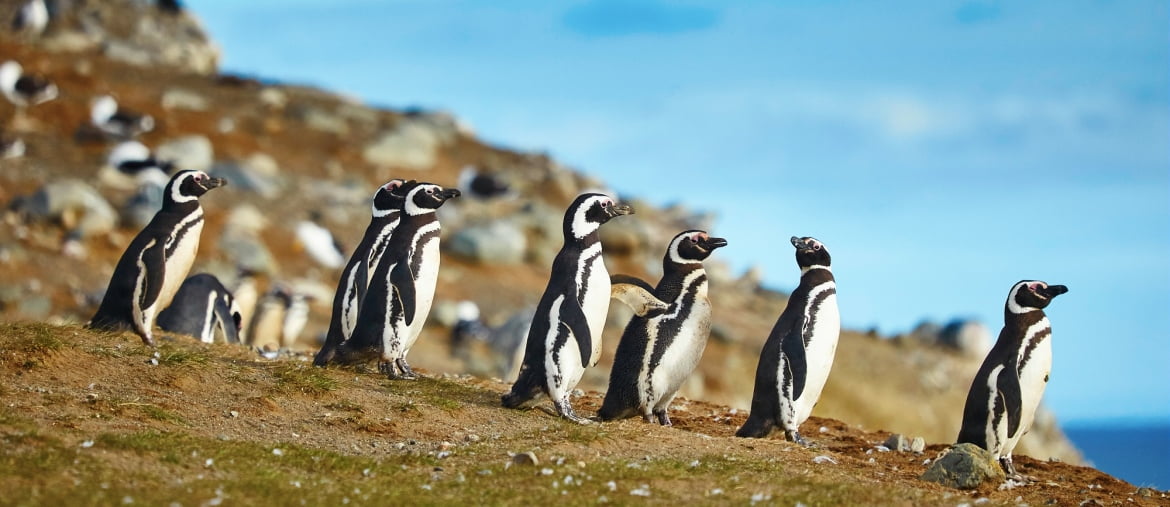 Juliette au Costa Rica : Corcovado-San José (J4-7)