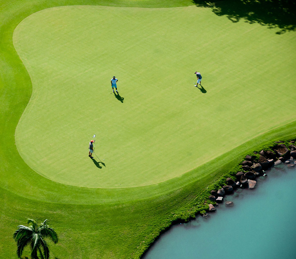 Image d'introduction terrain de golf