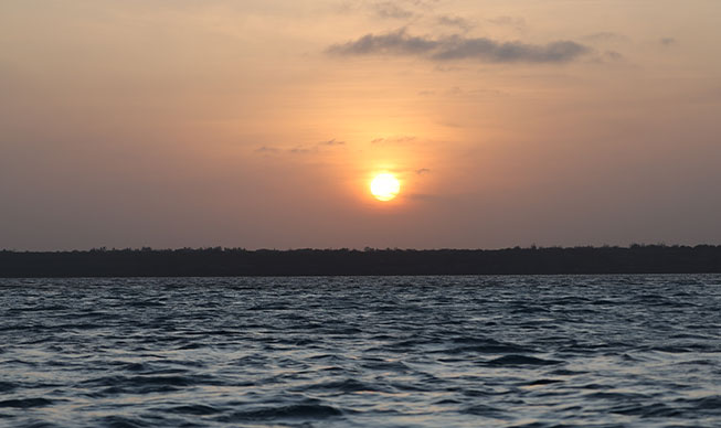 /Jour 8 - Mnemba Island / Zanzibar - France 2