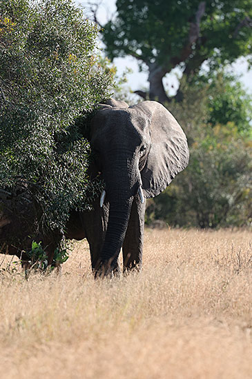 /Projet voyage afrique du sud - zanzibar 1