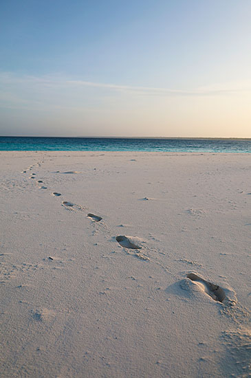 /Projet voyage afrique du sud - zanzibar 3