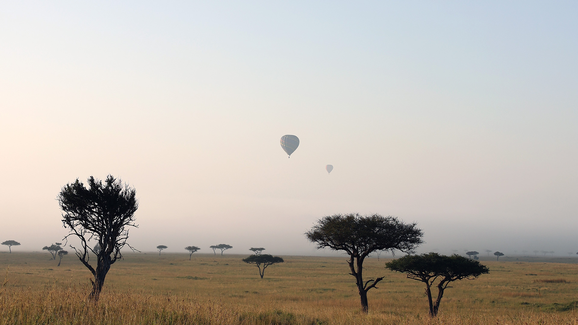 Photo panoramic kenya