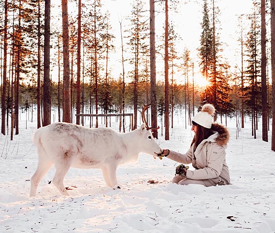 /Jour 3 - Luleå 2