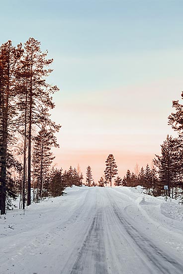 /Jour 7 - Harads / Luleå 3