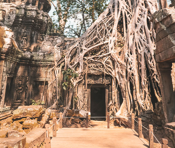 /Jour 11 - SIEM REAP (B,L) 3