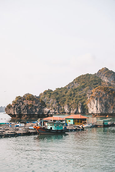 /Jour 8 - NINH BINH - BAIE DE HALONG 1