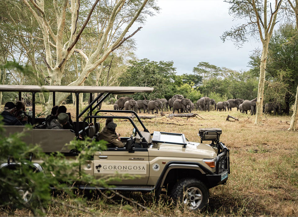 Vibrations Mozambicaines