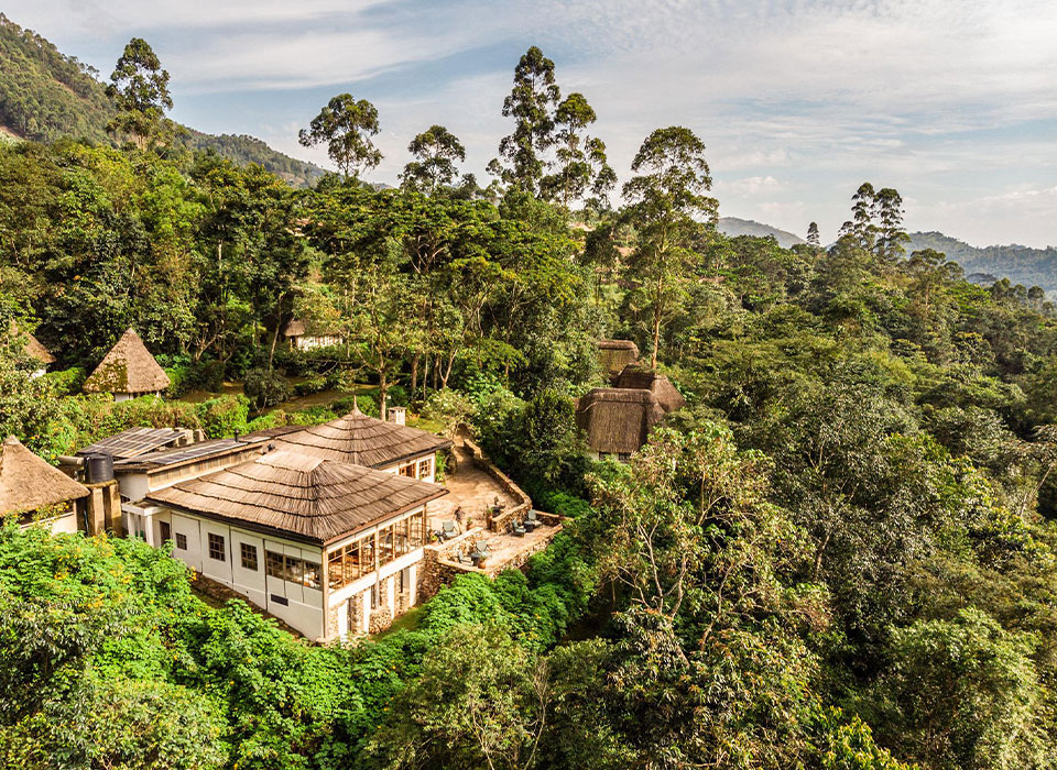 Ouganda : L’Écho des Montagnes : Murmures d'Ouganda 2