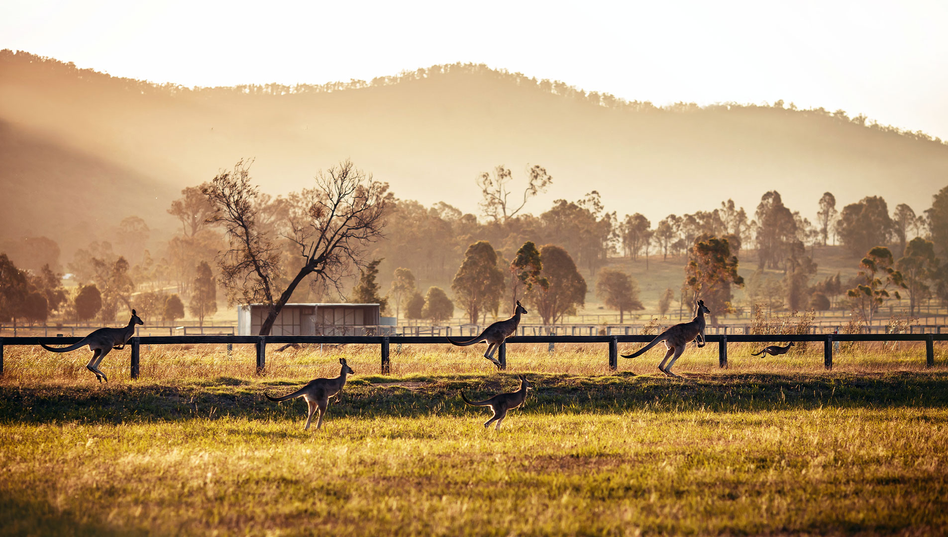  Australie au volant : L'Explorer Highway