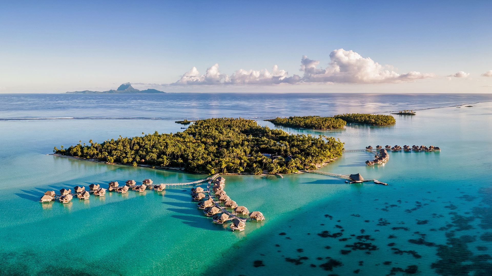 Écrins nacrés des îles