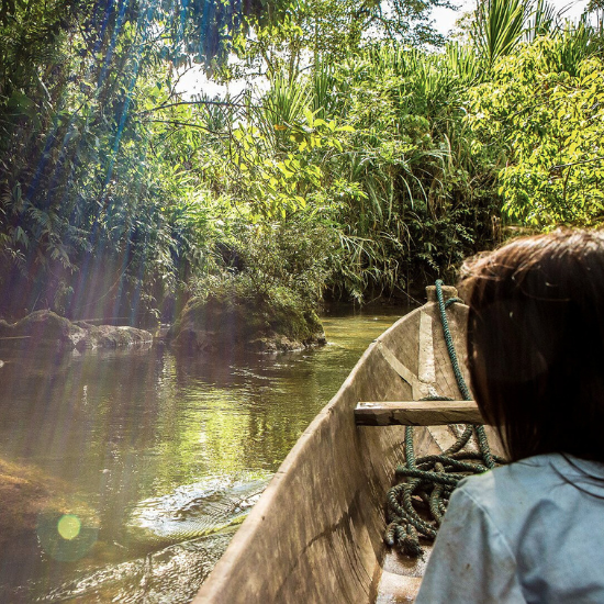 Amazonie