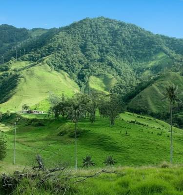 Medellín & les Andes