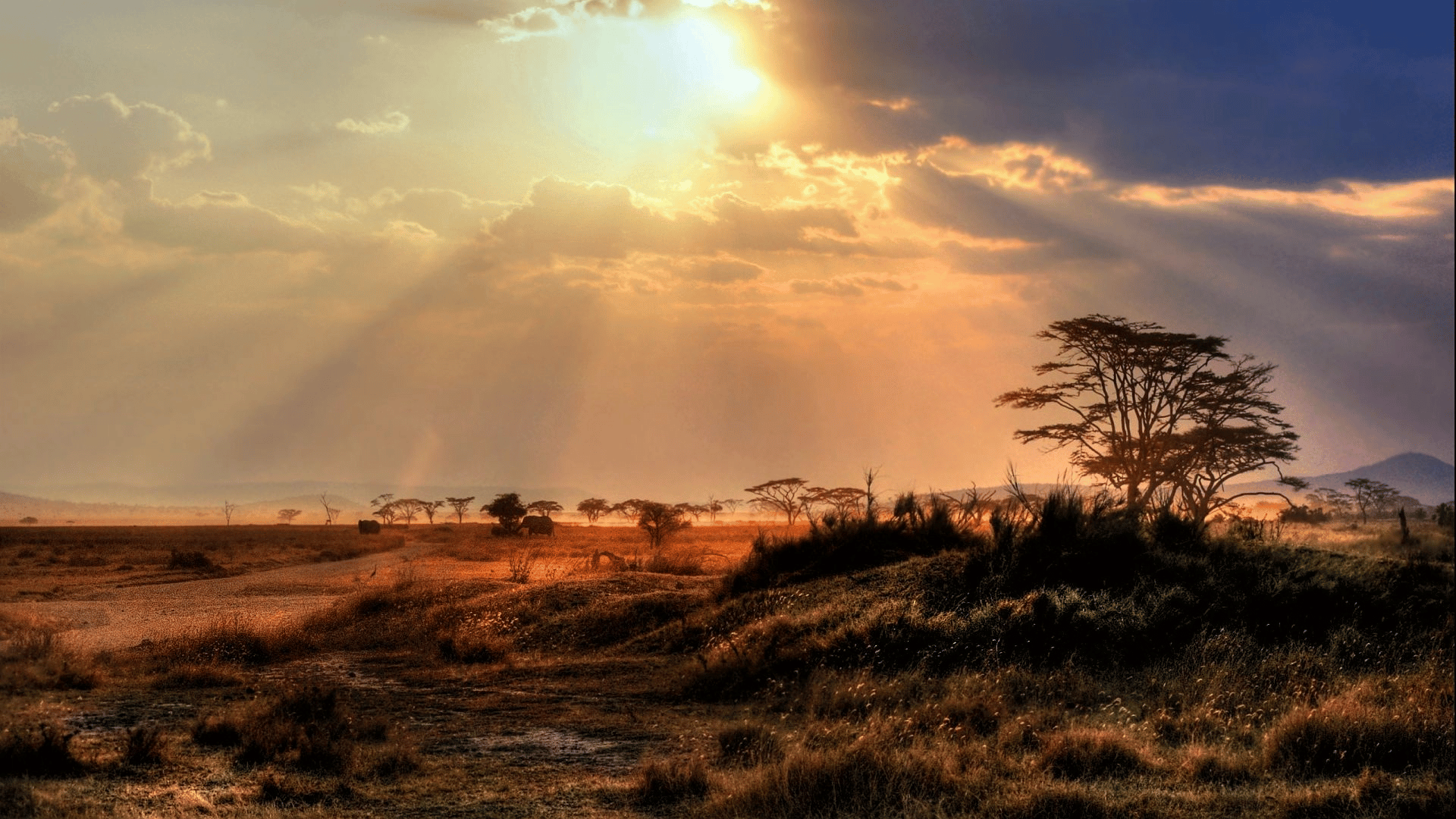 Créez votre voyage au Botswana