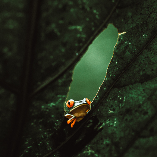 Costa Rica