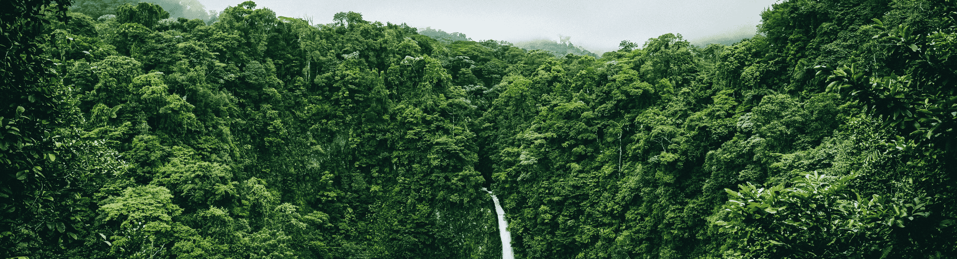 Créez votre voyage au Costa Rica