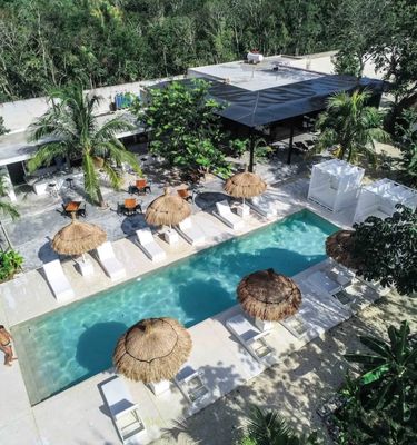Eco-lodge / jungle lodge
