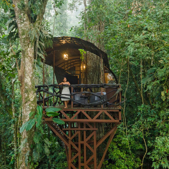 Ecolodge