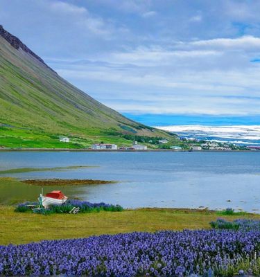 Fjords de l'ouest