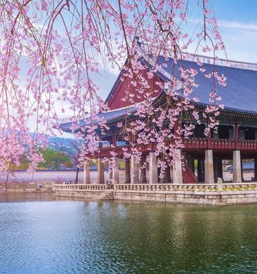 Gyeongbokgung Palace au printemps, Séoul - Corée du Sud