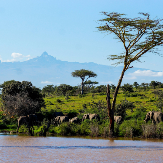 Plateau de Laikipia