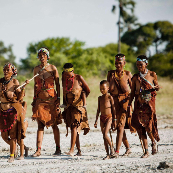 Le Pan de Makgadikgadi