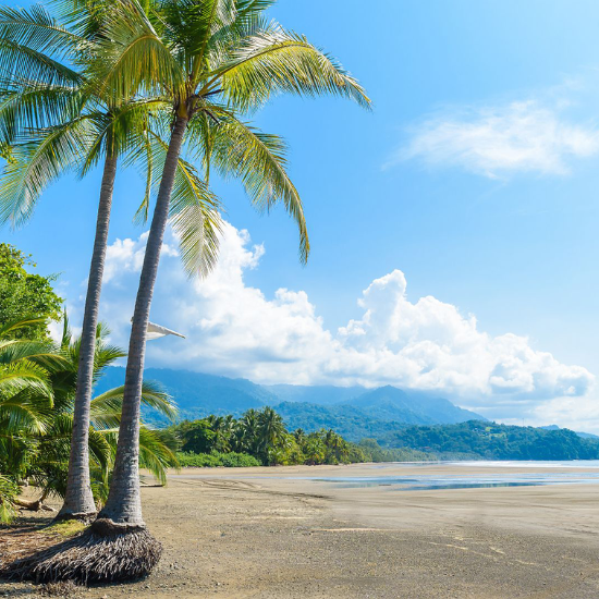 Manuel Antonio