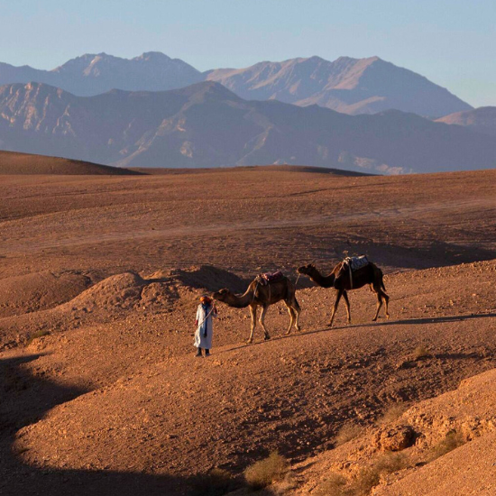 Maroc