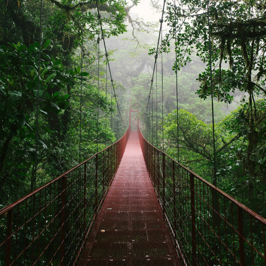 Monteverde