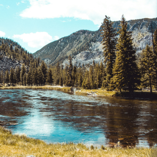 Nord-Ouest (Yellowstone)