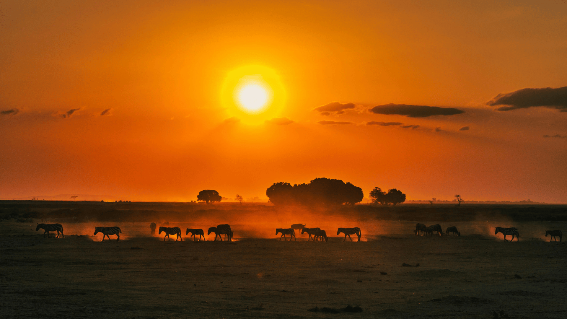 Créez votre voyage au Kenya
