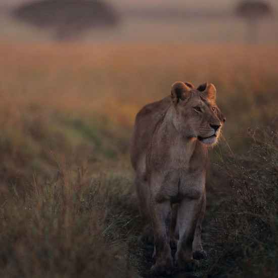 Parc national d'Etosha