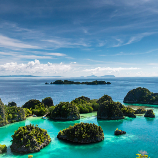 Sulawesi, Raja Ampat et Papouasie-occidentale