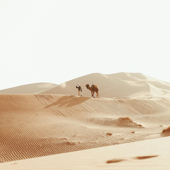 Le désert marocain