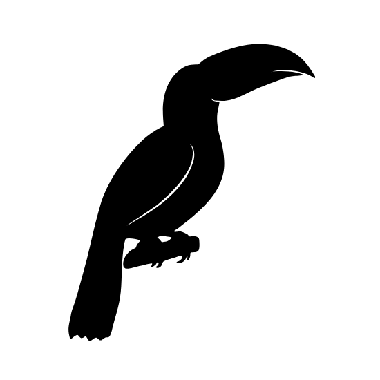 Faune Brésil