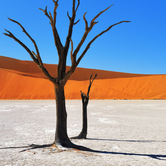 desert_namibie