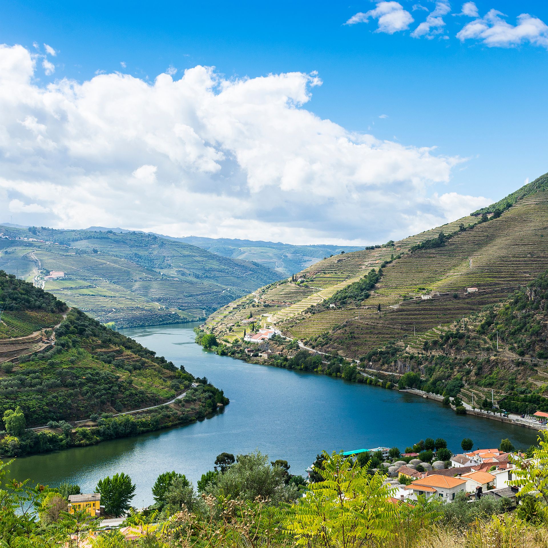 Vallée du Douro & Porto