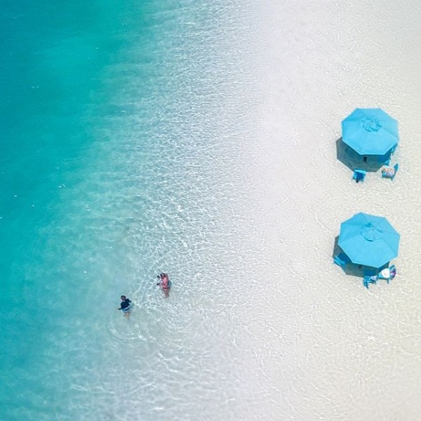 Séjour à l'Alphonse Island Seychelles