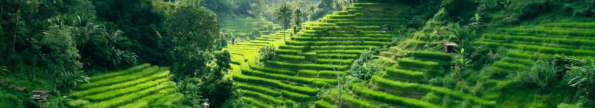15 jours à Bali