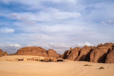 Banyan Tree AlUla