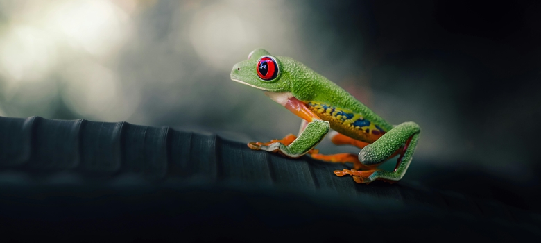 En solo au Costa Rica