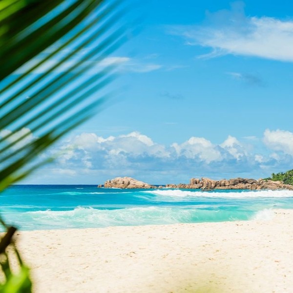 Les Seychelles en Écho Insulaire