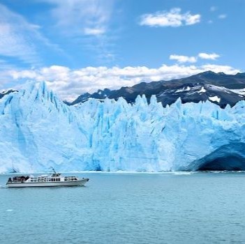 Calafate Argentine